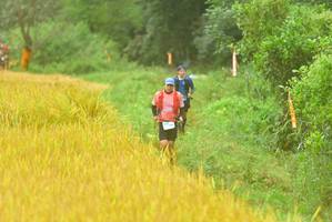 BIB: 
                            <button type="button" onclick="openModal(13456377)" class="btn btn-primary btn-sm float-right btn-popup" data-toggle="modal" data-target=".modal-high-quality">
                        <i class="fas fa-shopping-cart"></i> Add to Cart
                    </button>
                                            <button type="button" onclick="isThisMe(13456377, true)" class="btn btn-success btn-sm float-right btn-popup btn-isme hidden" data-toggle="tooltip" data-placement="bottom" title="นี่คือรูปของคุณใช่ไหม คลิกที่นี่เพื่อเอาเข้าอัลบั้ม">
                        <i class="fas fa-plus"></i> Add to album
                    </button>
                    <button type="button" onclick="isThisMe(13456377, false)" class="btn btn-warning btn-sm float-right btn-popup btn-isnotme hidden">
                        <i class="fas fa-ban"></i> Remove from album
                    </button>